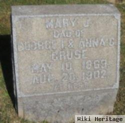 Mary J Cruse