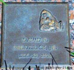 David R Frederick, Jr