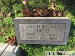 David Bruce Curtis