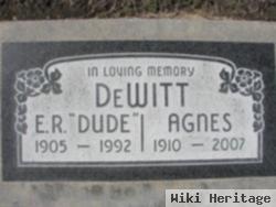 Agnes Alvareta Dewitt