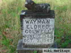 Wayman Eldred Colwell