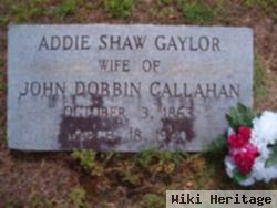 Addie Shaw Gaylor Callahan