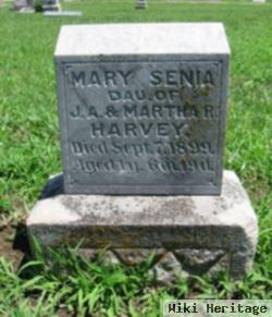 Mary Senia Harvey