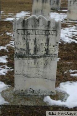 Elisa Ebling