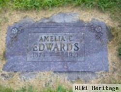 Amelia C Edwards