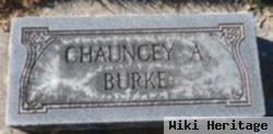 Chauncey A Burke