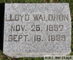 Lloyd Waldron