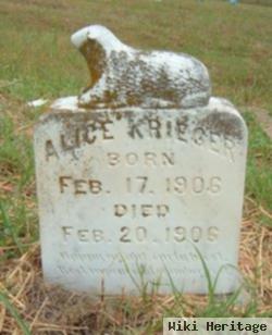 Alice Krieger