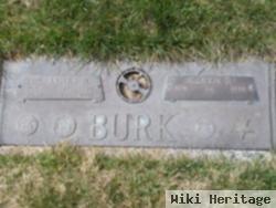 Dr James R. Burk