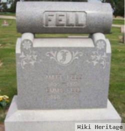 Matthias F Fell