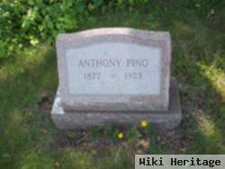Anthony Pino