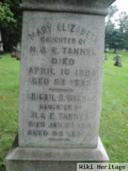 Mary Elizabeth Tanner