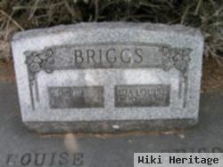 David C Briggs