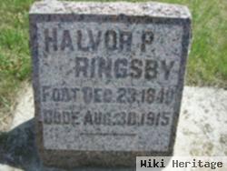 Halvor P Ringsby