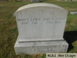 Jane N Lewis