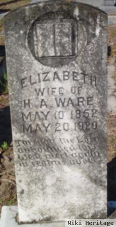 Elizabeth Frances "lizzie" Daniels Ware