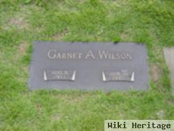 Garnet A Schenkel Wilson