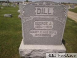 Mary Dill