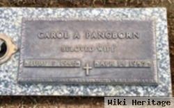 Carol A Pangborn