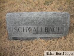 Gerhard L Schwallbach