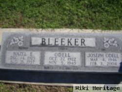 Hazel E Bleeker