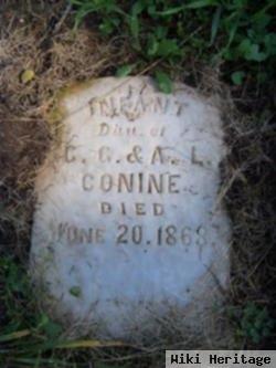 Infant Conine