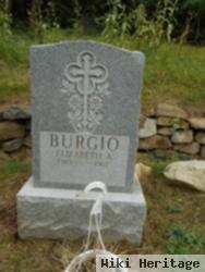 Elizabeth A Burgio