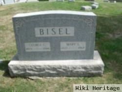 Mary S. Bisel