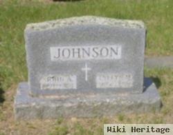 John A Johnson