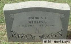 Andrea L. Whiting