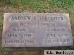 Andrew B. Lekovitch