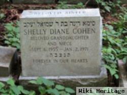 Shelly Diane Cohen