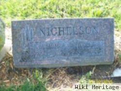 Hugh B Nichelson