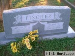 Hilmar F. Fischer