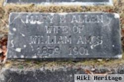 Mary E. Allen Amos