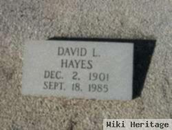 David L. Hayes