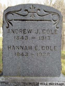 Andrew J Cole