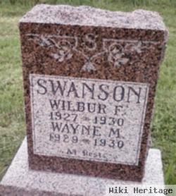 Wayne M Swanson