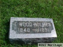 Elisabeth "eliza" Wood Holmes