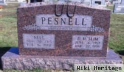 D. H. Pesnell