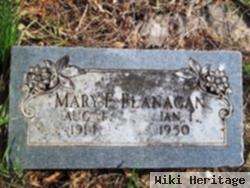 Mary E Flanagan