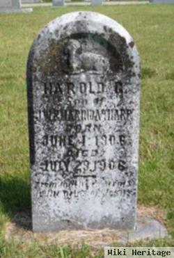 Harold Joy Tharp