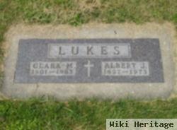 Albert J Lukes