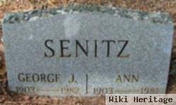 Ann Senitz