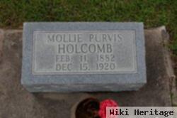 Mary Jane "mollie" Purvis Holcomb