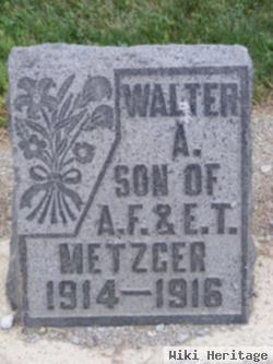 Walter Aloysius Metzger