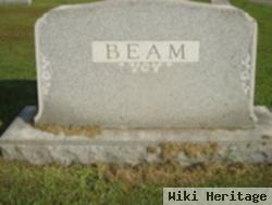 Hettie Mae Powers Beam