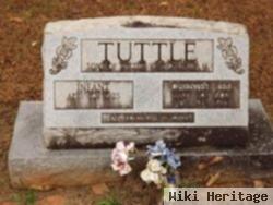 Infant Tuttle
