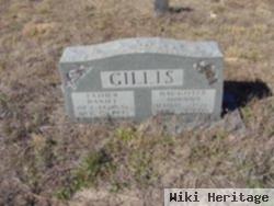 Daniel Gillis