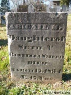 Abigail S Smith